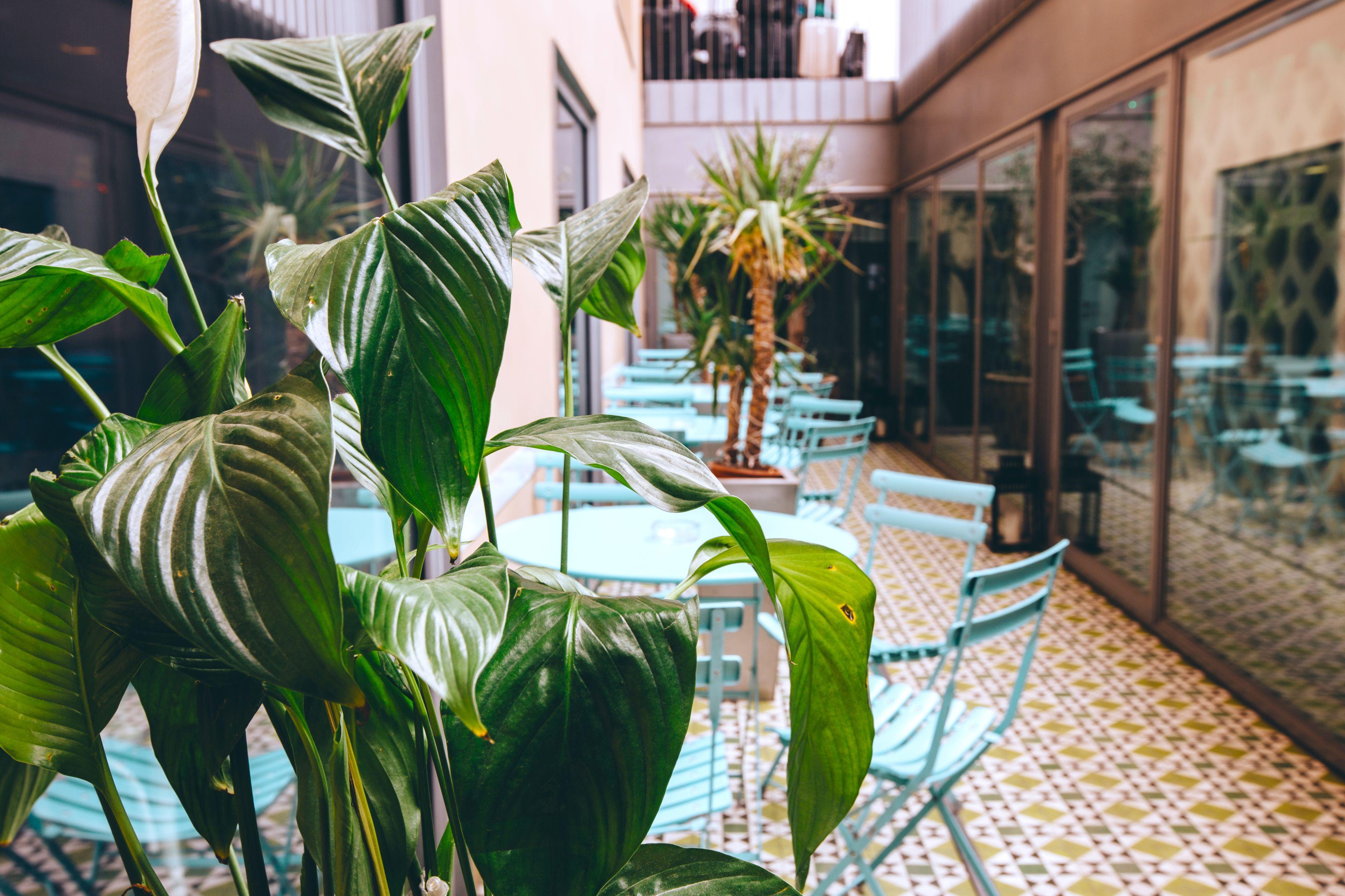 St Christopher'S Inn Barcelona — Bilder 2